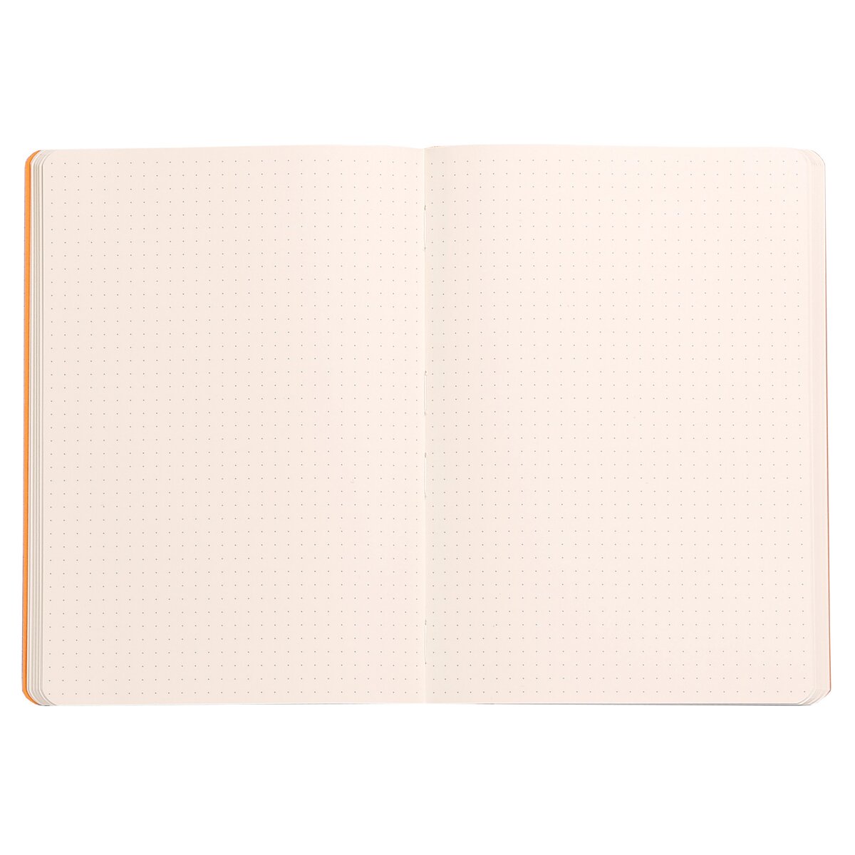 Caderno flexível em pele sintética Soft Dot A5 Rhodia prateada Prateado-2