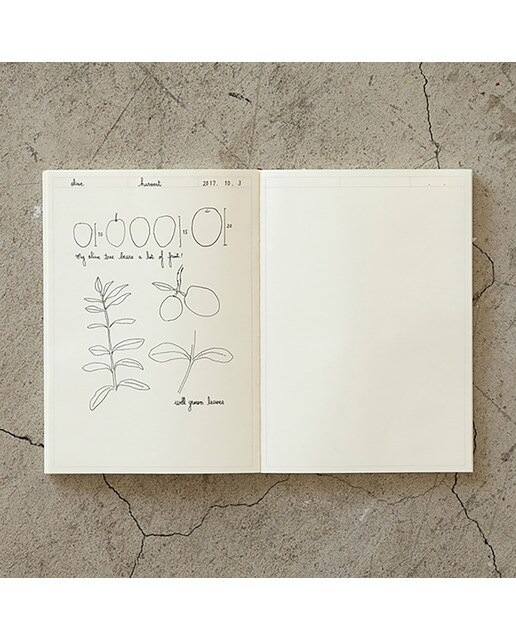 Caderno Frame A5 Papel Liso - Creme 7