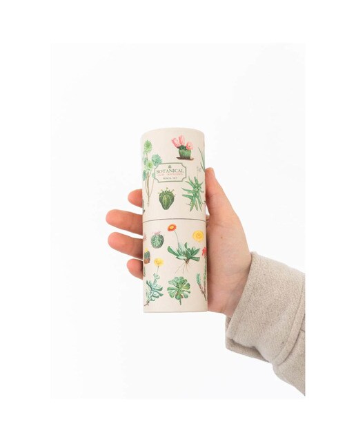 Conjunto Lápis de Cores Botanical Cacti - Verde e Bege Verde / Bege-7
