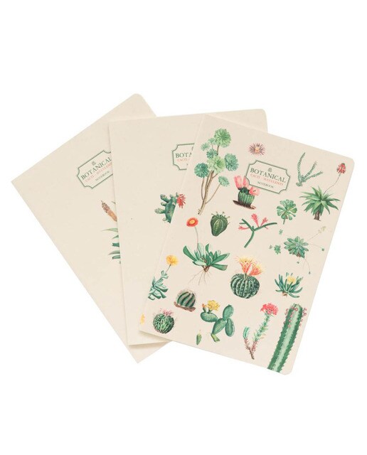 Pack de 3 Cadernos Botanical Cacti A5 - Verde e Bege Verde / Bege-1