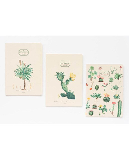Pack de 3 Cadernos Botanical Cacti A5 - Verde e Bege Verde / Bege-2