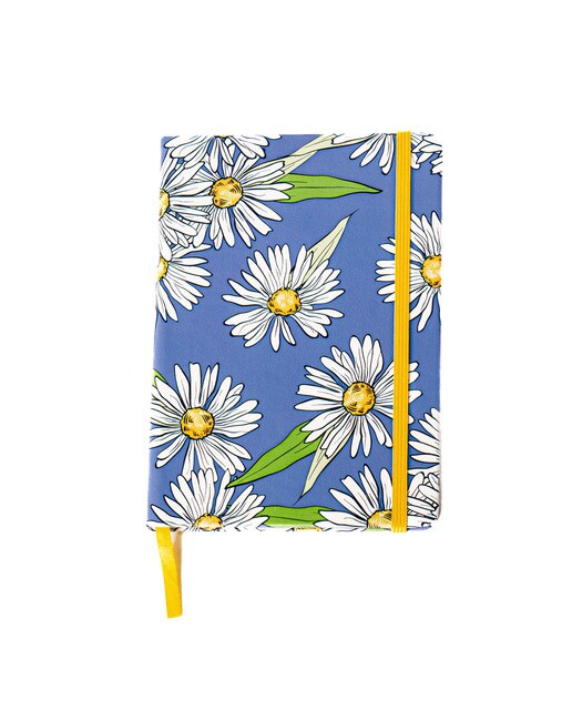 Caderno de Capa Dura M - Azul/Verde Azul / Verde-1