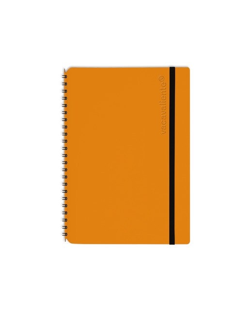 Imagem 0 de Bloco de notas Plein Air A5 pautado laranja abóbora vacaavaliente