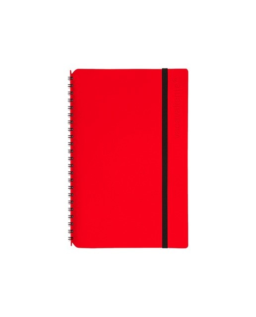 Imagem 0 de Caderno de notas Plein Air A5 pautado barro vermelho vacavaliente