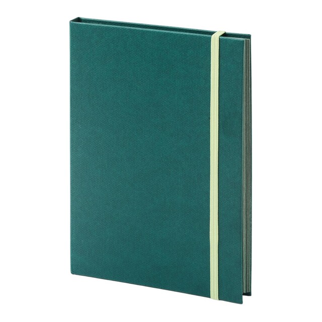 Imagem 0 de Caderno Fabriano Leporello Cromia 220 g/m2. Capas de Cor Verde com Elastico em Formato 11,5*16,5 cm