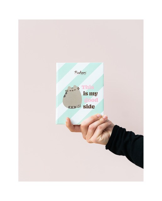 Álbum de Fotos 100 Bolsos Pusheen The Cat 10x15 cm - Branco/Verde Verde-7