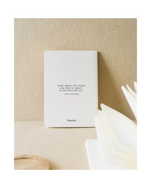 Pack 3 Cadernos Botanical Wild Flowers A6 - Branco Branco / Lilás-6