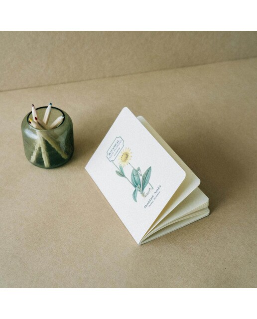 Pack 3 Cadernos Botanical Wild Flowers A6 - Branco Branco / Lilás-7