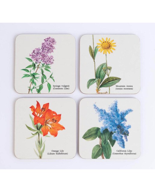 Conjunto 4 Bases de Copo Botanical Wild Flowers - Branco Branco / Lilás-2