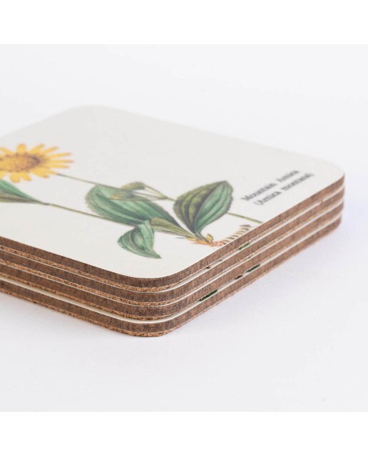 Conjunto 4 Bases de Copo Botanical Wild Flowers - Branco Branco / Lilás-3