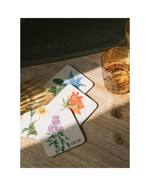 Conjunto 4 Bases de Copo Botanical Wild Flowers - Branco Branco / Lilás-6