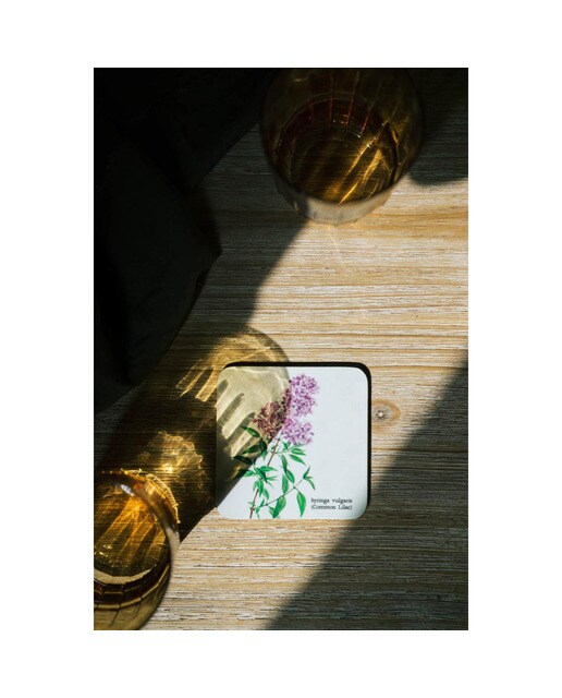 Conjunto 4 Bases de Copo Botanical Wild Flowers - Branco Branco / Lilás-8