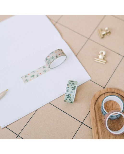 Conjunto de 4 Washi Tape Botanical Cacti - Verde e Bege Verde / Bege-5