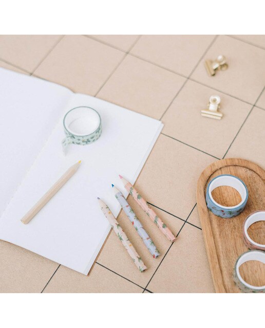Conjunto de 4 Washi Tape Botanical Cacti - Verde e Bege Verde / Bege-7