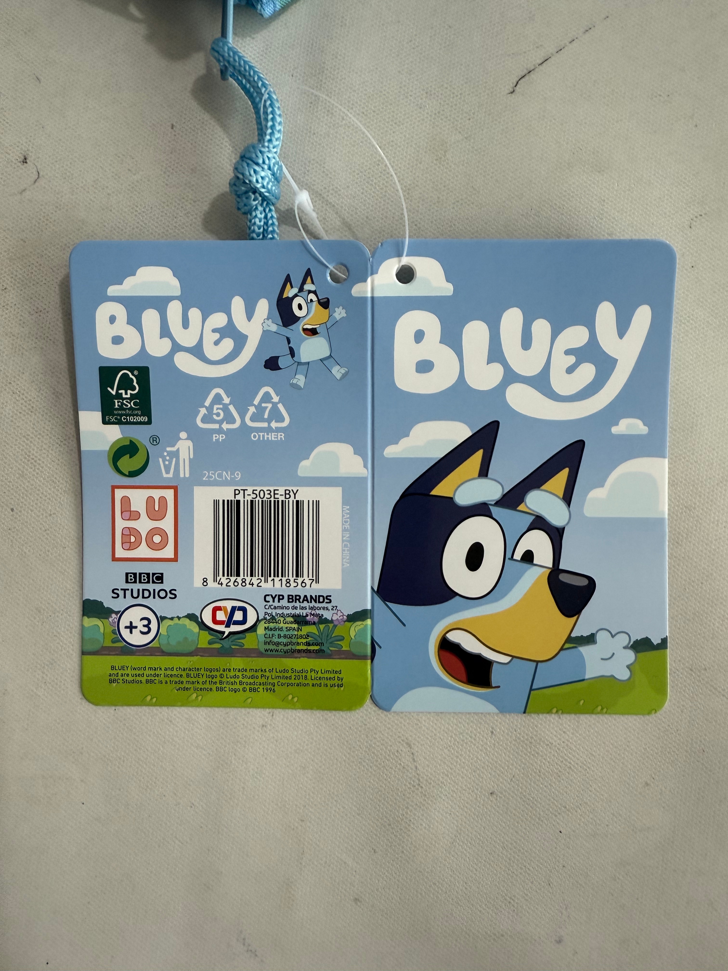 Estojo Triplo com Cinco Compartimentos Bluey Home & Garden CyP Brands Azul Azul-4