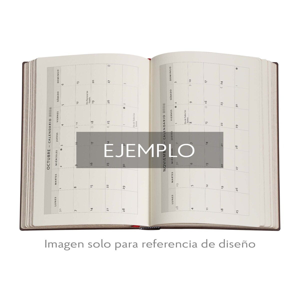 Agenda Flexi de 18 Meses (Jul 25 Dic 26) Festival de globos Midi