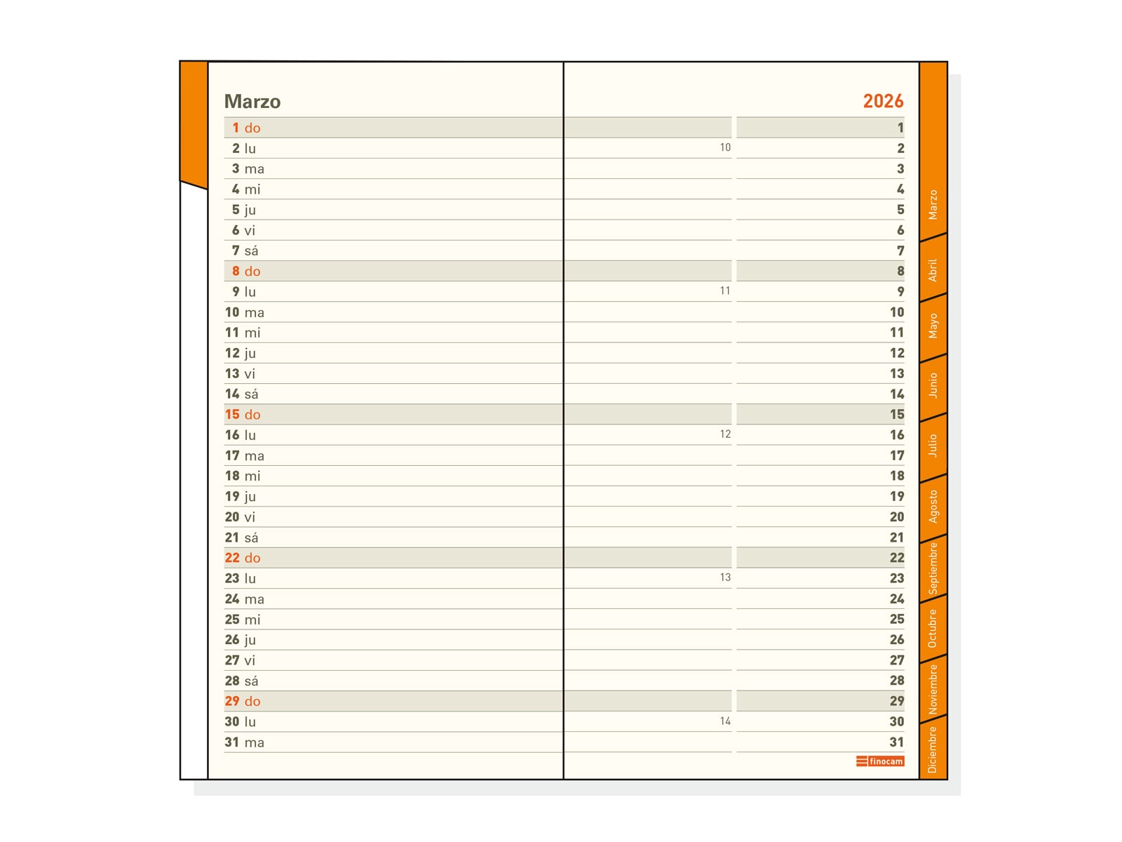 Agenda año 2026 Plana Coctel PL4-80x150 mm Mes Vista Finocam azul castellano Azul-3