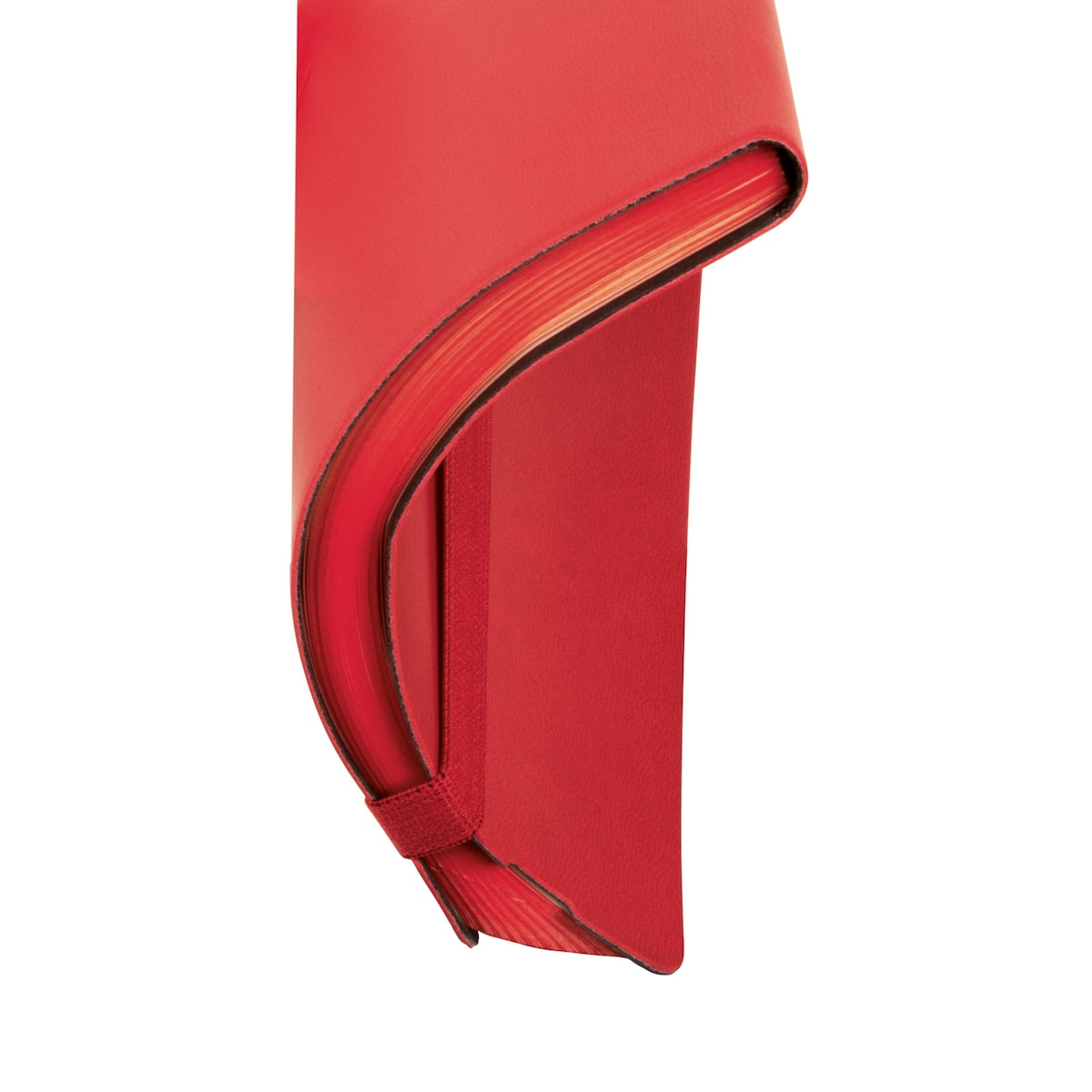 Agenda encuadernada año 2026 Flexi Lisa FA5-148x210 mm 1 Día Página Finocam rojo catalán multilingüe 5