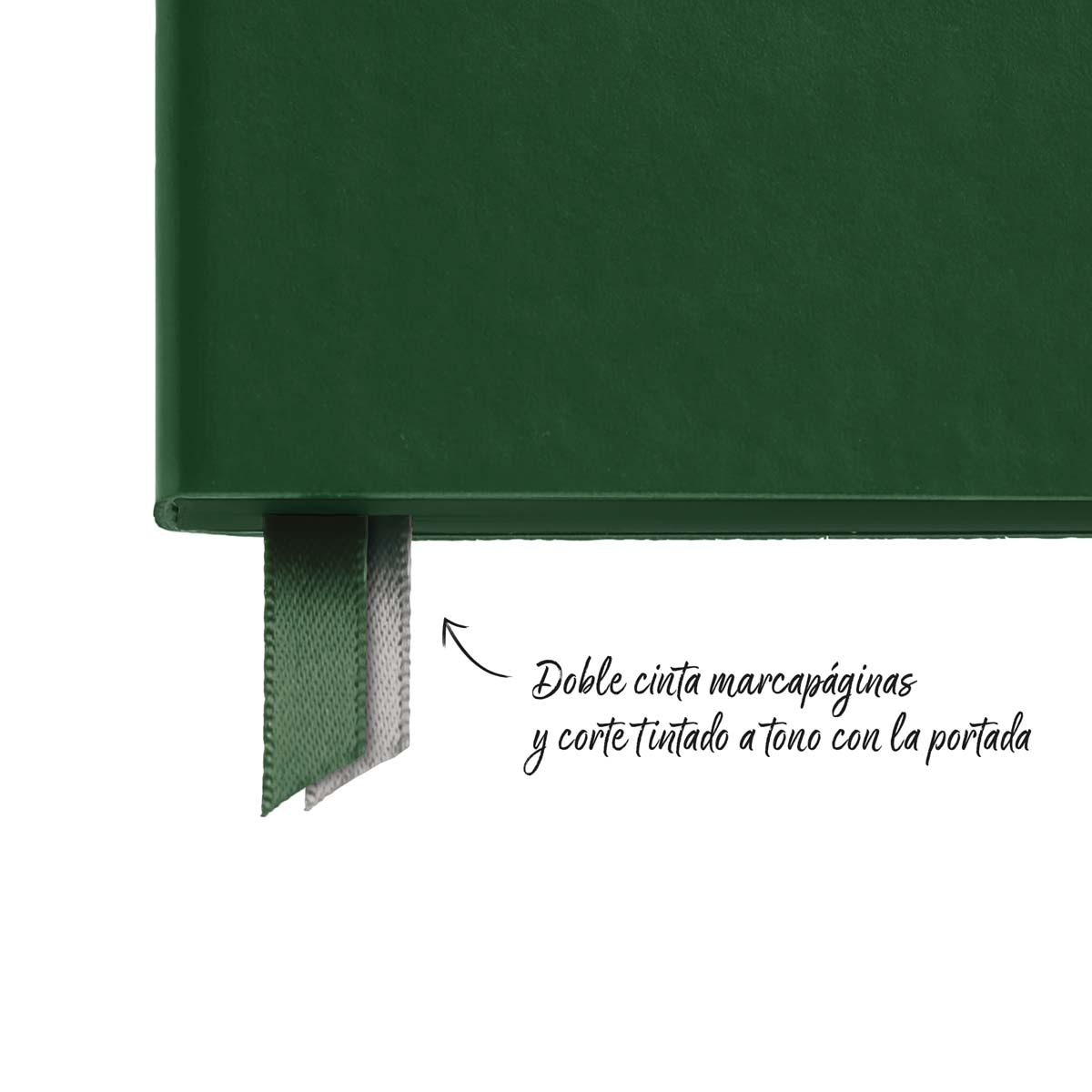 Imagen 3 de Agenda Plus 1 día por página Verde Basics 2027 Miquelrius Verde
