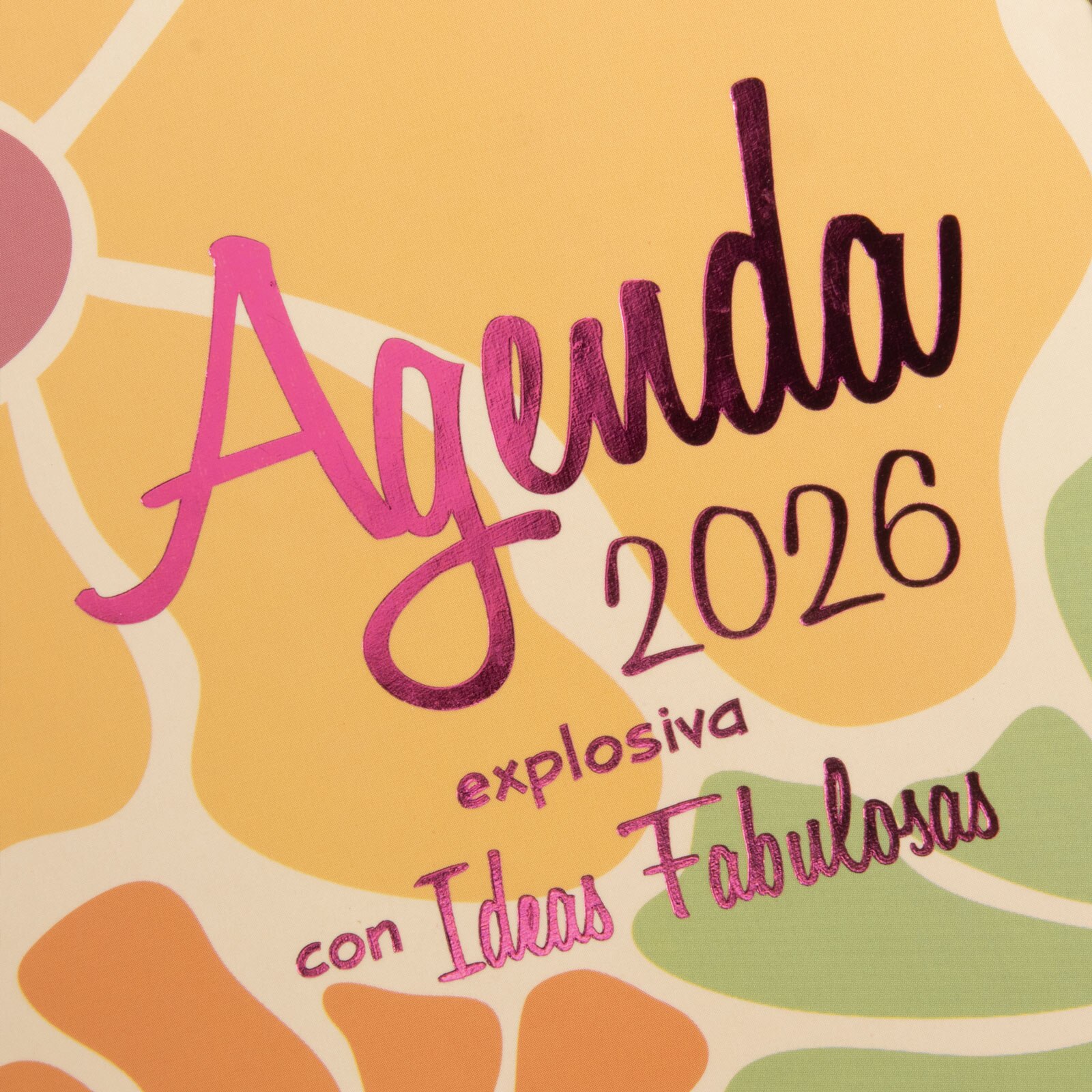 Agenda espiral doble año 2026 Talkual 4º-155x217 mm 1 Día Página Ideas Finocam multicolor castellano Multicolor-7