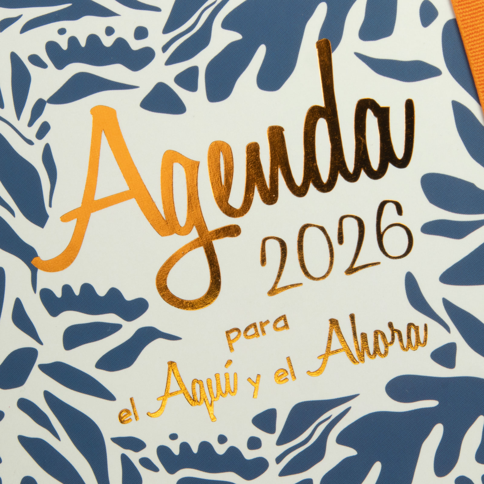 Agenda espiral doble año 2026 Talkual 4º-155x217 mm 1 Día Página Aquí Finocam multicolor castellano Multicolor-7