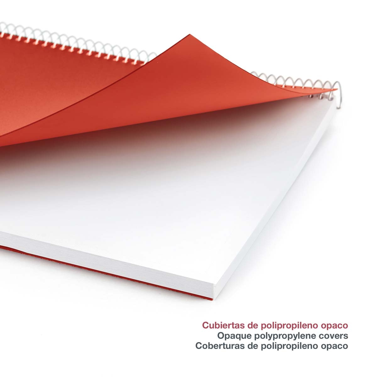 Agenda Espiral Activa Semana Vista Polipropileno City Rojo 2027 Miquelrius Rojo-4