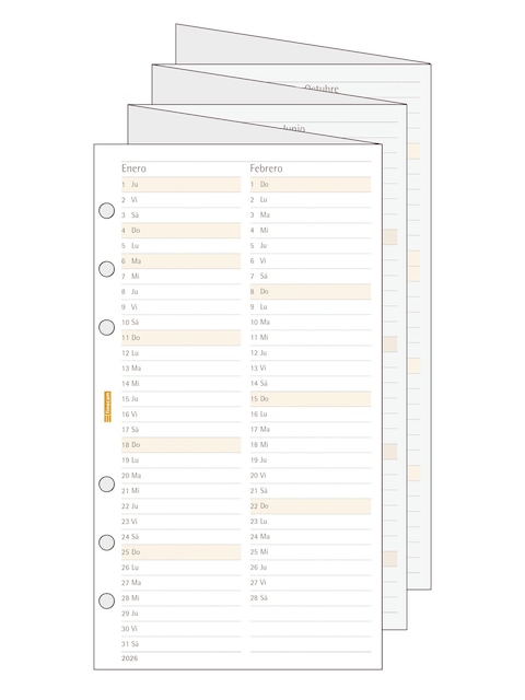 Imagen 0 de Recambio planificación anual desplegable año 2026 Classic C996 609-94x171 mm Mes Vista Finocam castellano