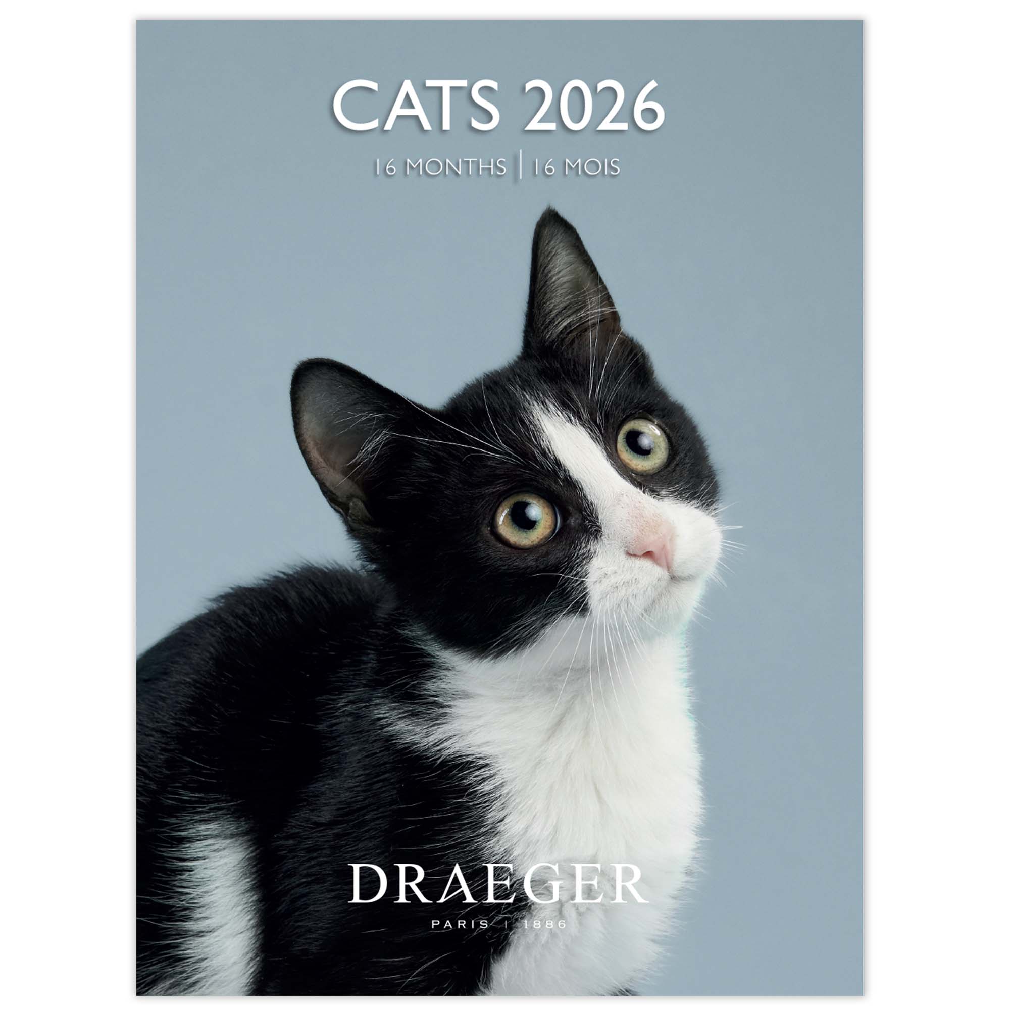Imagem 0 de Calendário 2026, 16 Meses (Setembro-Dezembro), Mês Visto por Página com Motivos de Gatos Draeger