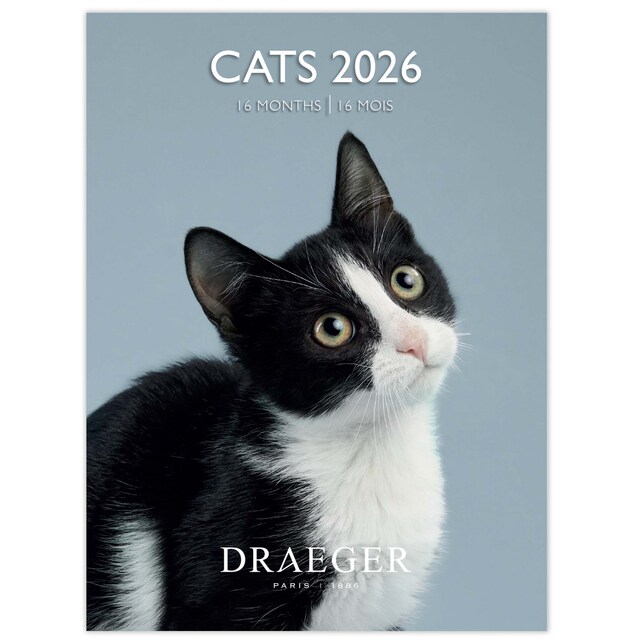 Imagem 0 de Calendário 2026, 16 Meses (Setembro-Dezembro), Mês Visto por Página com Motivos de Gatos Draeger