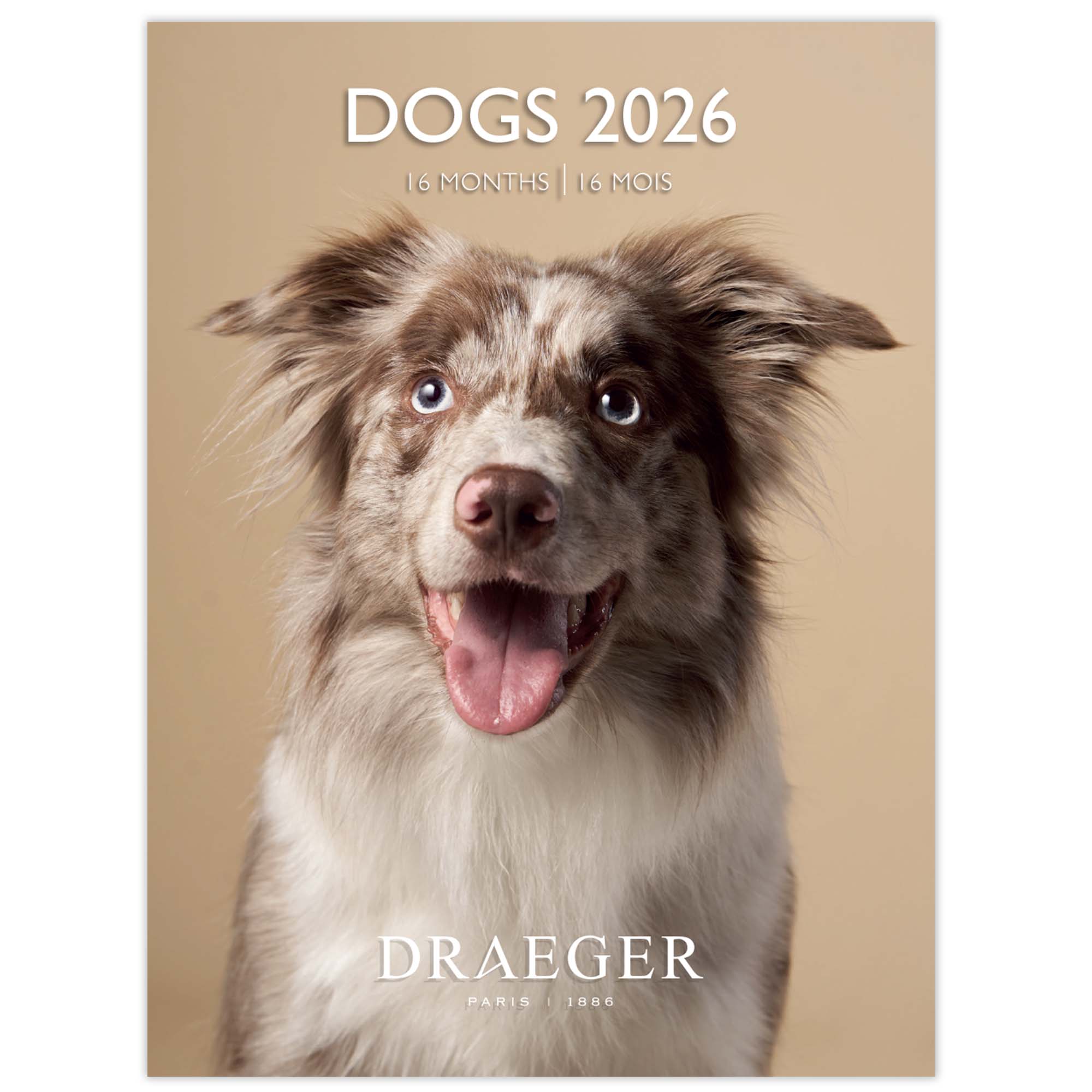 Imagem 0 de Calendário 2026, 16 Meses (Setembro-Dezembro), Mês Visto por Página com Motivos de Cães Draeger