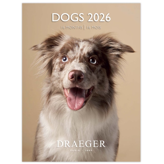 Imagen 0 de Calendario 2026, 16 meses (septiembre-diciembre), mes vista por página con motivos de perros Draeger