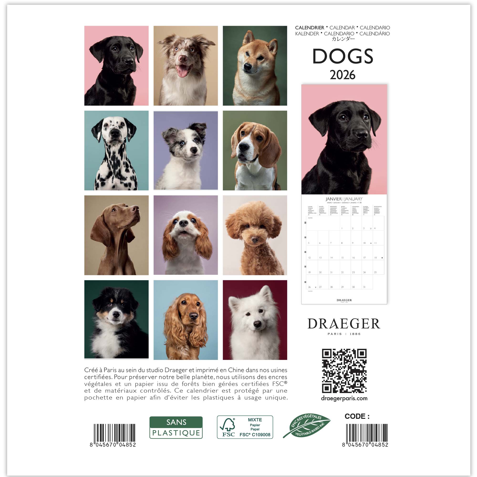 Calendário 2026, 16 Meses (Setembro-Dezembro), Mês Visto por Página com Motivos de Cães Draeger Estampado-3