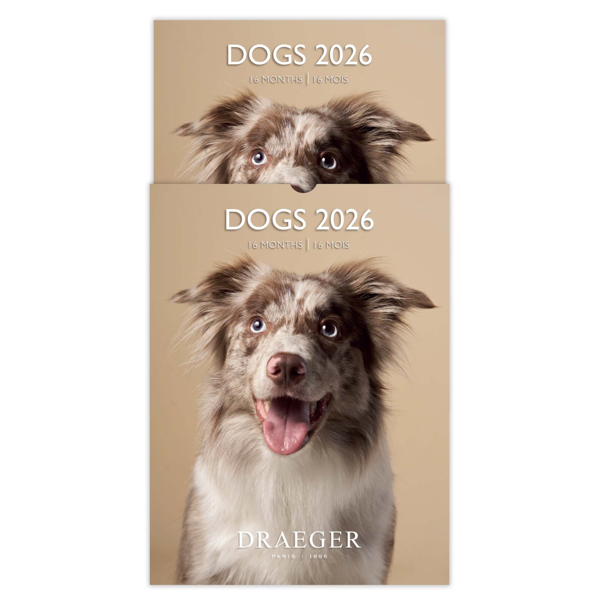 Calendário 2026, 16 Meses (Setembro-Dezembro), Mês Visto por Página com Motivos de Cães Draeger Estampado-4