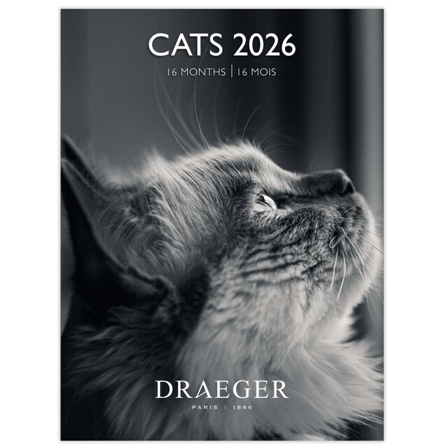 Imagem 0 de Calendário 2026, 16 Meses (Setembro-Dezembro), Mês Visto por Página com Motivos de Gatos a Preto e Branco Draeger