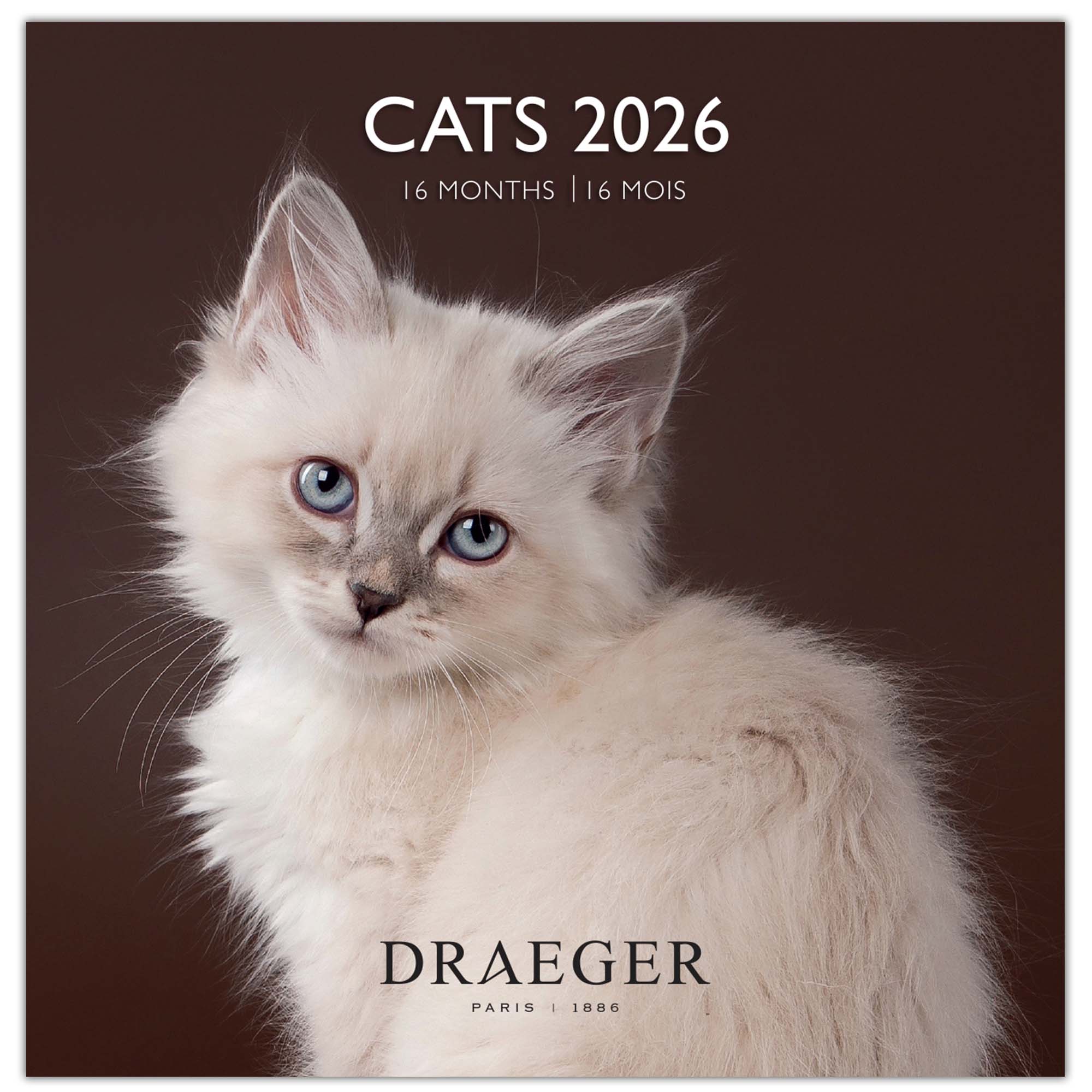 Imagem 0 de Calendário 2026, 16 Meses (Setembro-Dezembro), Mês Visto por Página com Motivos de Gatos Draeger