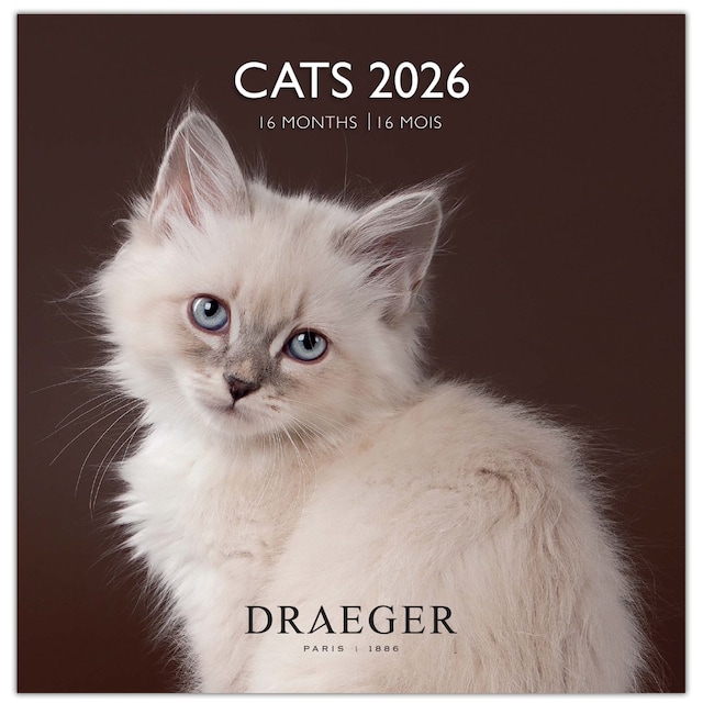 Imagen 0 de Calendario 2026, 16 meses (septiembre-diciembre), mes vista por página con motivos de gatos Draeger