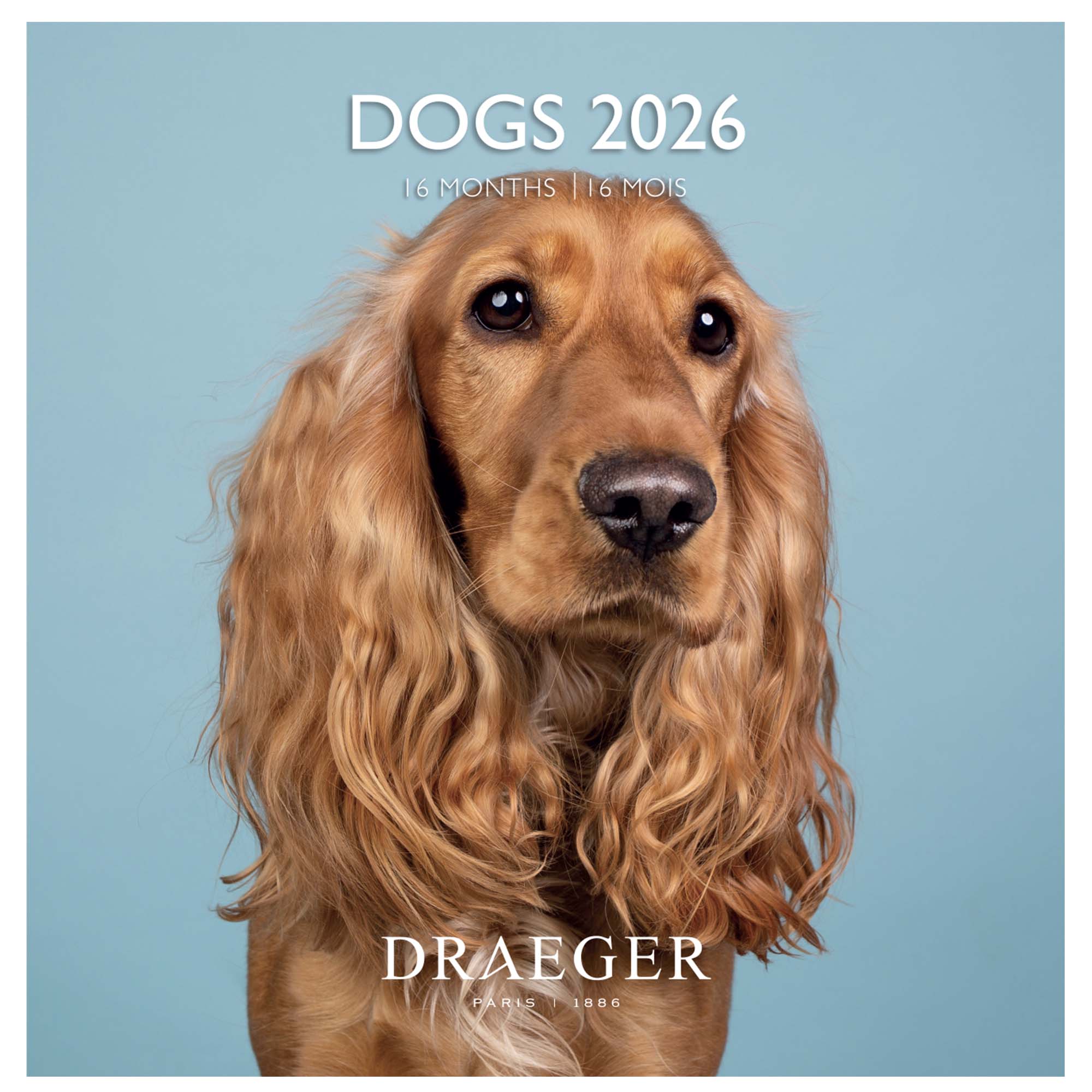 Imagem 0 de Calendário 2026, 16 Meses (Setembro-Dezembro), Mês Visto por Página com Motivos de Cães Draeger