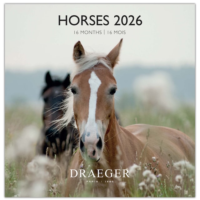Imagen 0 de Calendario 2026, 16 meses (septiembre-diciembre), mes vista por página con motivos de caballos Draeger