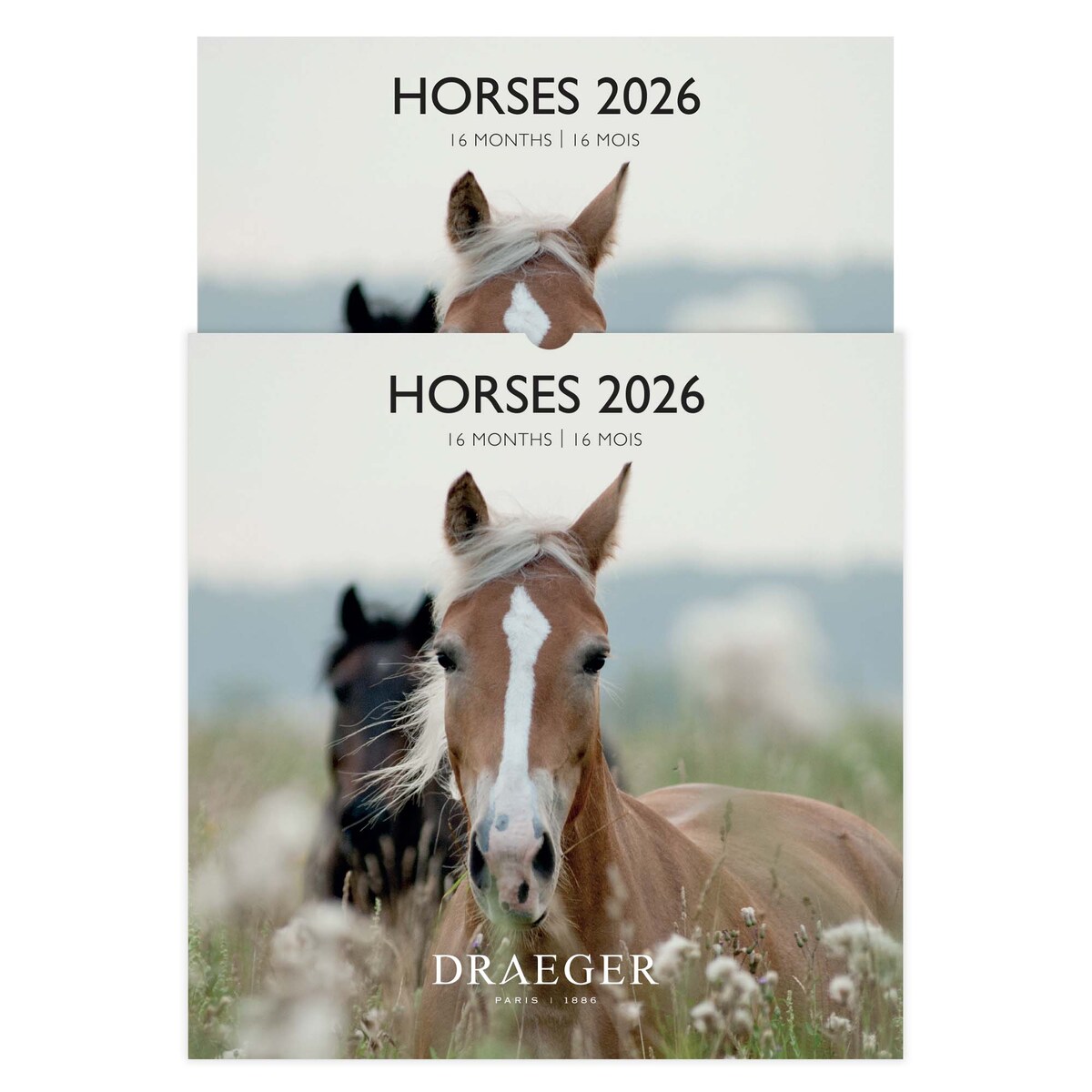 Calendario 2026, 16 meses (septiembre-diciembre), mes vista por página con motivos de caballos Draeger Estampado-4