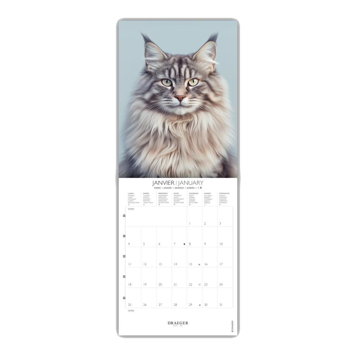 Calendario 2027, 16 Meses (Setembro-Dezembro), Mês Vista por Página com Motivos de Gatos Draeger Estampado-2