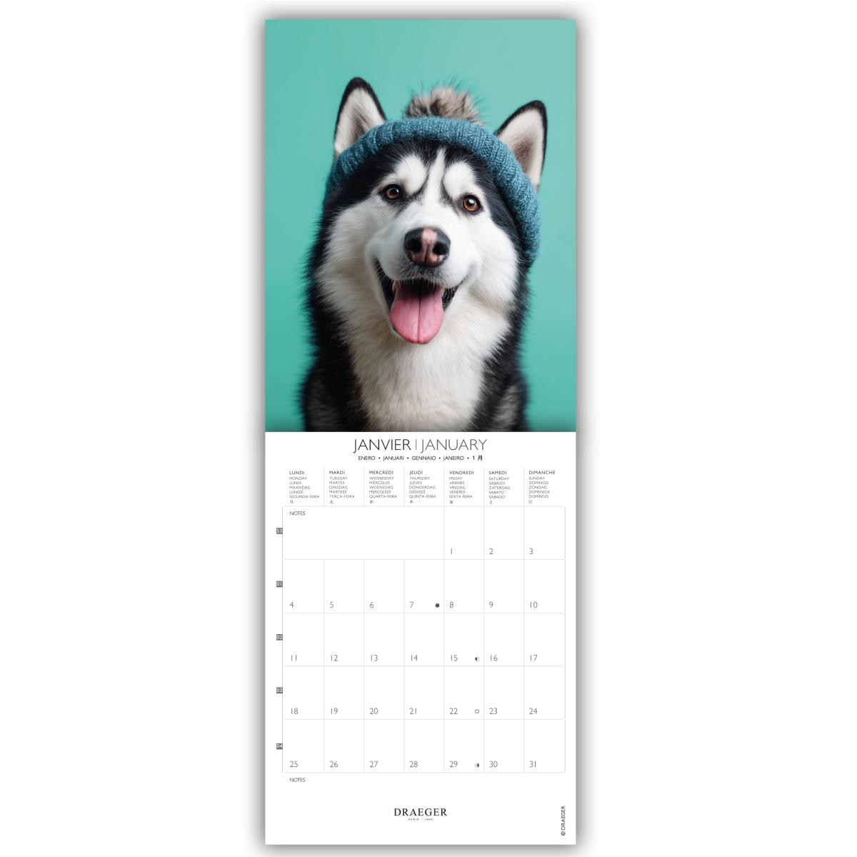 Calendario 2027, 16 Meses (Setembro-Dezembro), Mês Vista por Página com Motivos de Cães Draeger Estampado-2