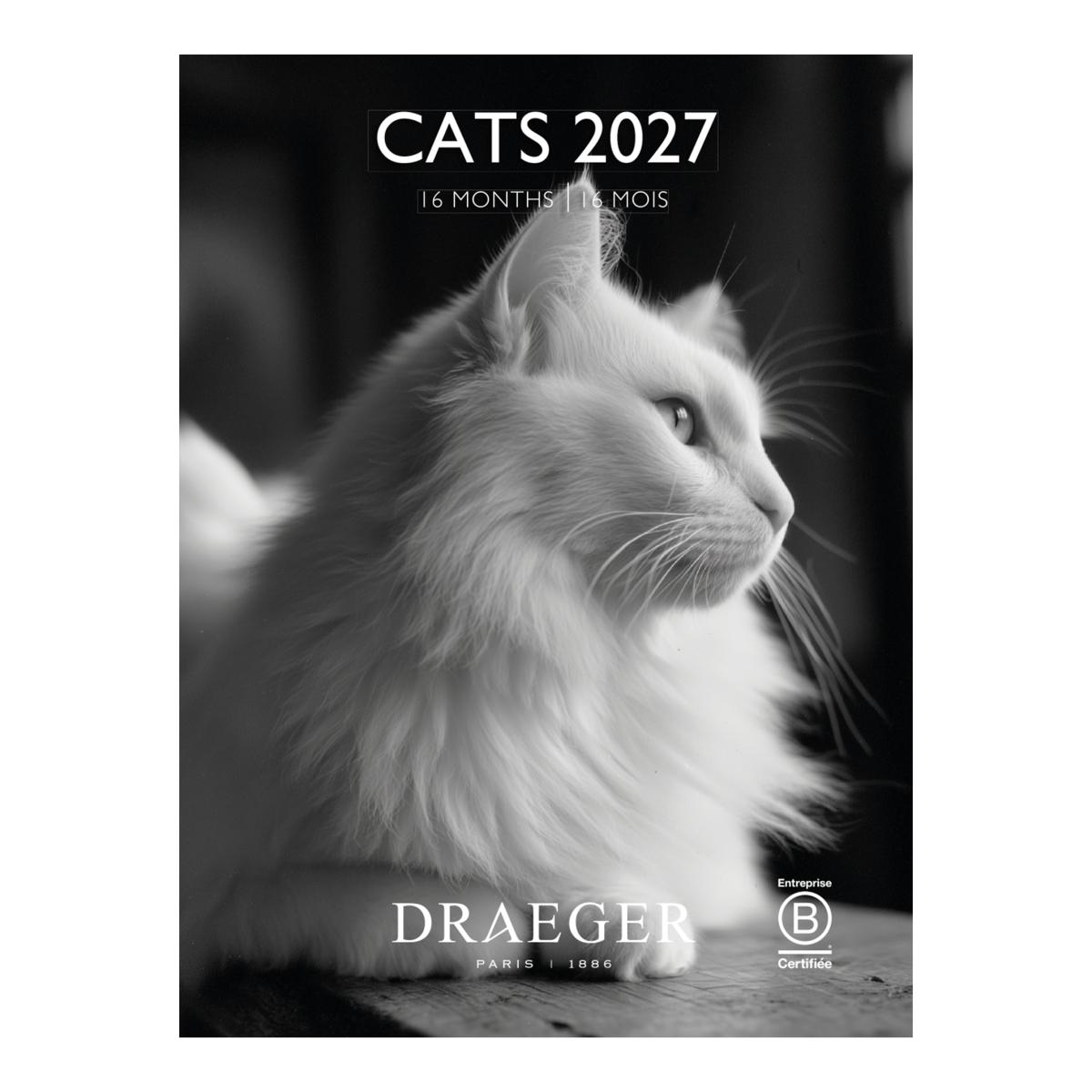 Imagem 0 de Calendario 2027, 16 Meses (Setembro-Dezembro), Mês Vista por Página com Motivos de Gatos Branco e Preto Draeger