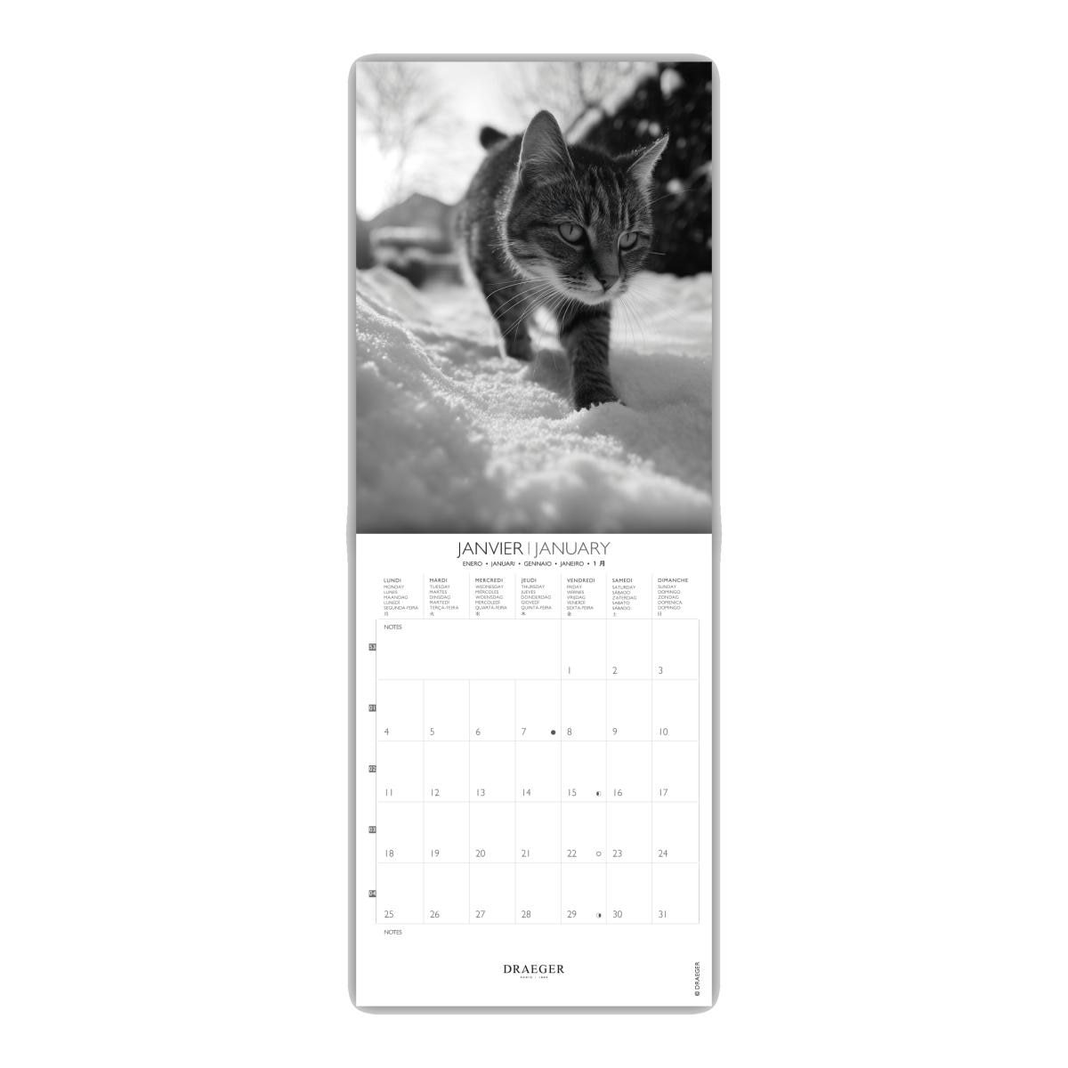 Calendario 2027, 16 Meses (Setembro-Dezembro), Mês Vista por Página com Motivos de Gatos Branco e Preto Draeger Estampado/Branco-2