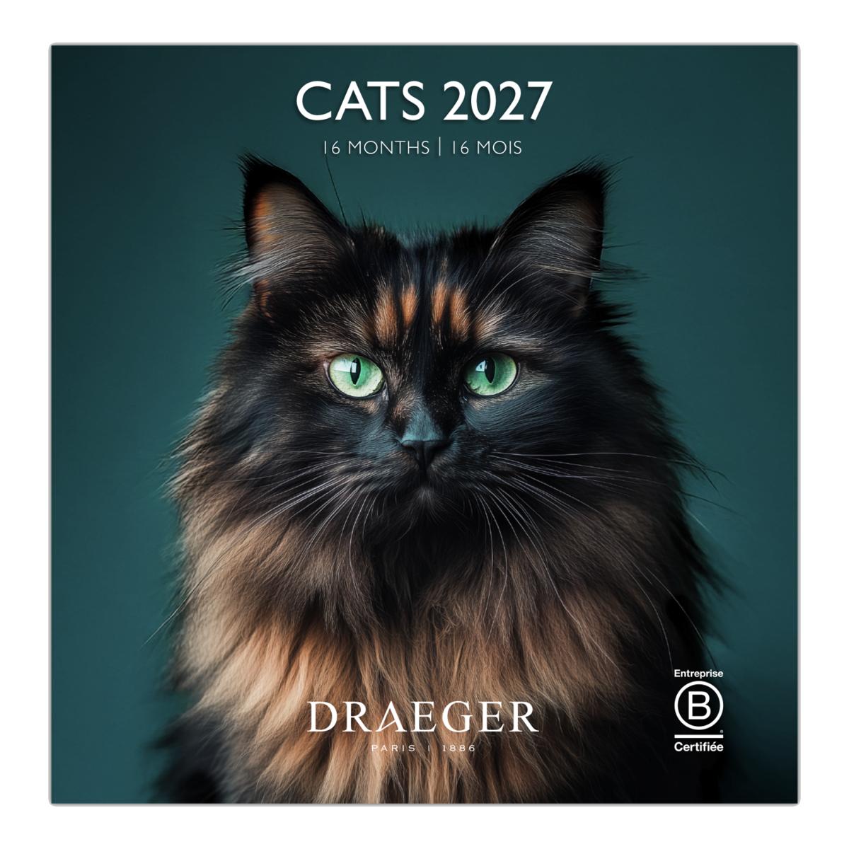 Imagem 0 de Calendario 2027, 16 Meses (Setembro-Dezembro), Mês Vista por Página com Motivos de Gatos Draeger