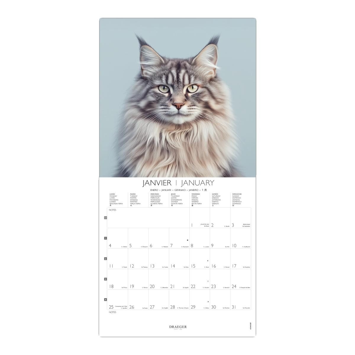 Calendario 2027, 16 Meses (Setembro-Dezembro), Mês Vista por Página com Motivos de Gatos Draeger Estampado-2