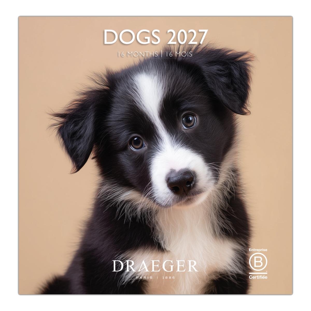 Imagem 0 de Calendario 2027, 16 Meses (Setembro-Dezembro), Mês Vista por Página com Motivos de Cães Draeger