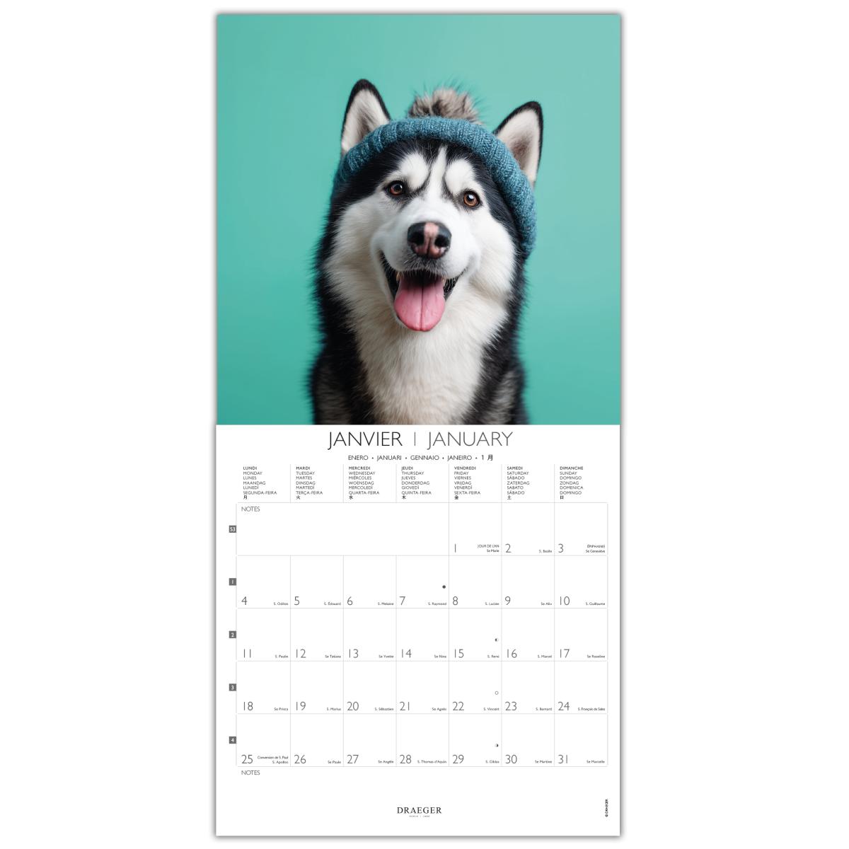 Calendario 2027, 16 Meses (Setembro-Dezembro), Mês Vista por Página com Motivos de Cães Draeger Estampado-2