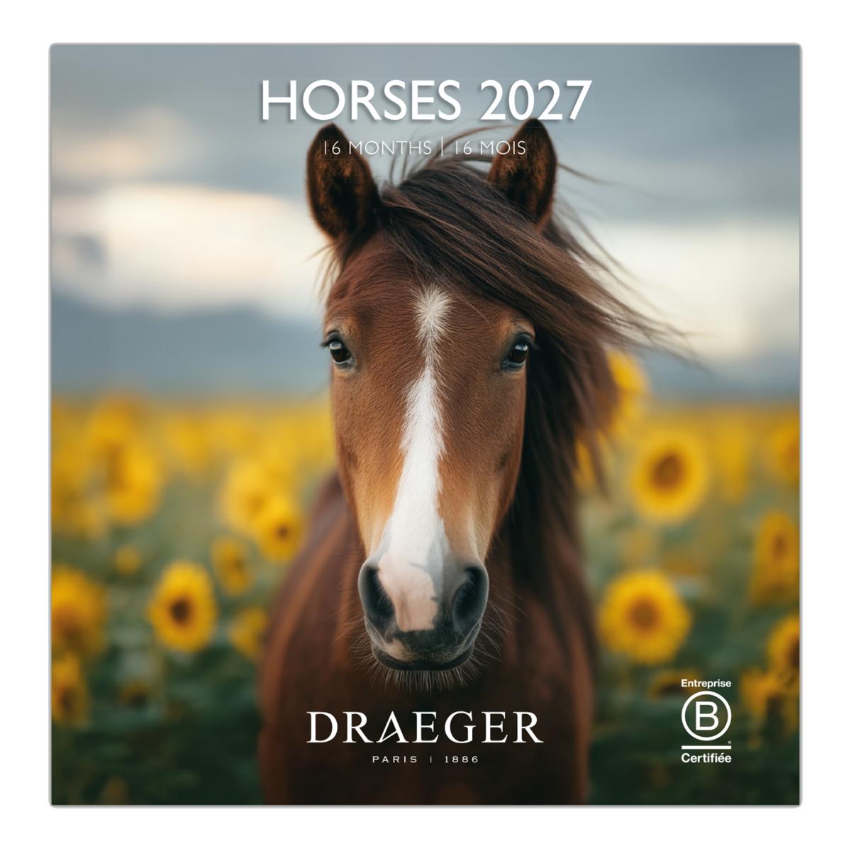 Imagem 0 de Calendario 2027, 16 Meses (Setembro-Dezembro), Mês Vista por Página com Motivos de Cavalo Draeger