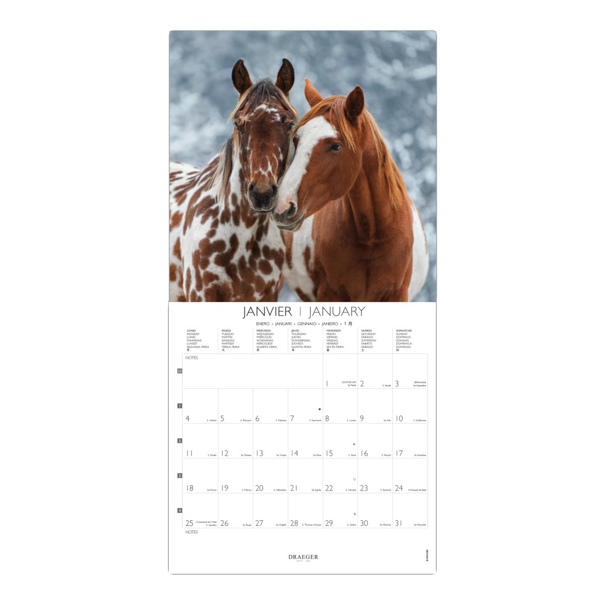 Calendario 2027, 16 Meses (Setembro-Dezembro), Mês Vista por Página com Motivos de Cavalo Draeger Estampado-2
