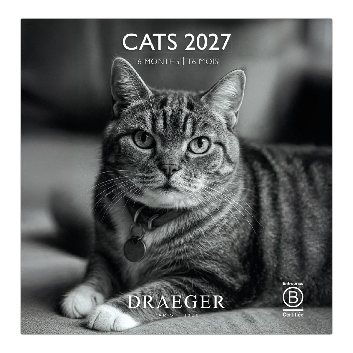 Imagem 0 de Calendario 2027, 16 Meses (Setembro-Dezembro), Mês Vista por Página com Motivos de Gatos Branco e Preto Draeger